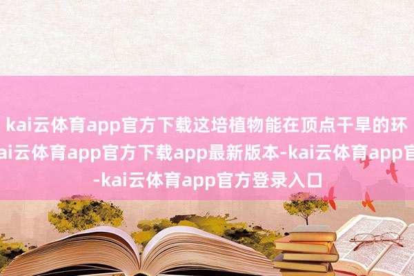kai云体育app官方下载这培植物能在顶点干旱的环境中生涯-kai云体育app官方下载app最新版本-kai云体育app官方登录入口