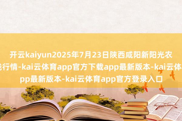 开云kaiyun2025年7月23日陕西咸阳新阳光农副居品有限公司价钱行情-kai云体育app官方下载app最新版本-kai云体育app官方登录入口