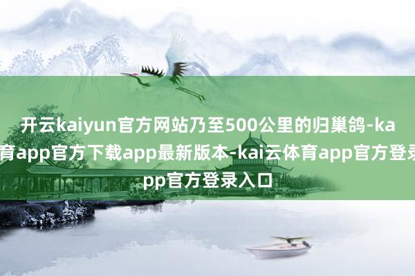开云kaiyun官方网站乃至500公里的归巢鸽-kai云体育app官方下载app最新版本-kai云体育app官方登录入口